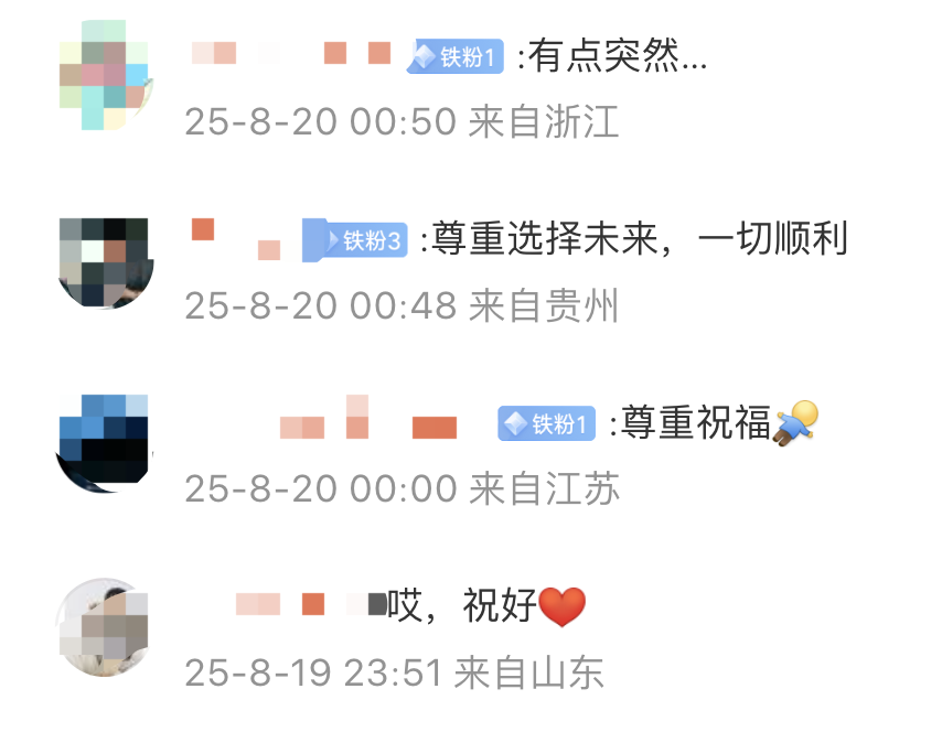 年安赛龙向