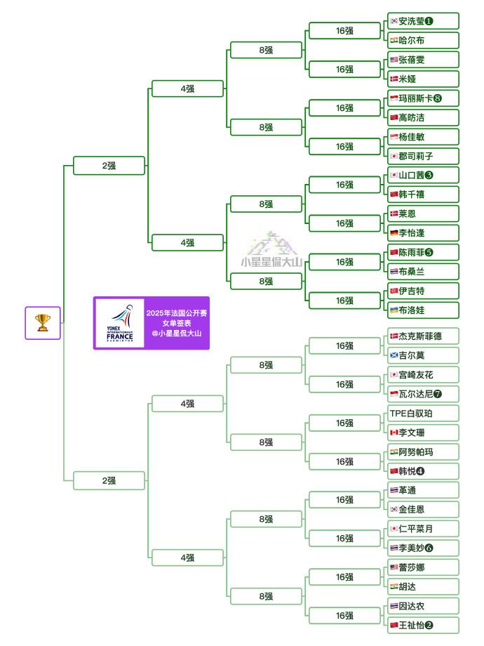 年丹麦公开 年丹麦公开
