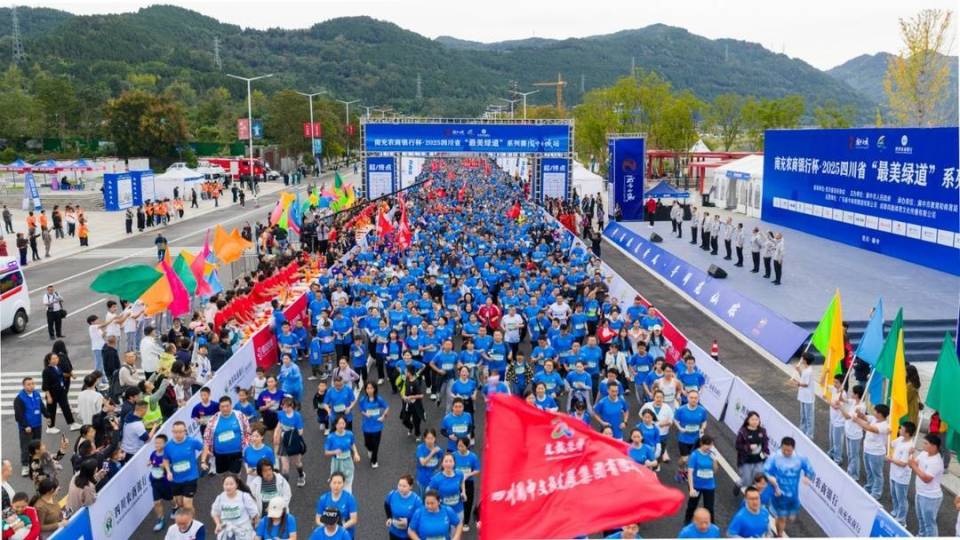 bt, 本次大赛奖 bt, 本次大赛奖